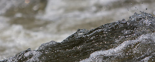 Liquid Terrains.